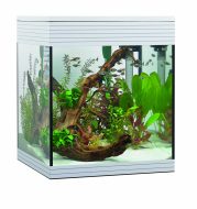 Askoll PURE M Aquarium - White