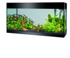 Askoll PURE XL Aquarium - Black