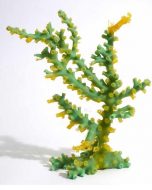 Blue Ribbon Black Octopus Coral Ornament - Green - Small