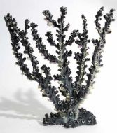 Blue Ribbon Black Octopus Coral Ornament - Lavender - Large