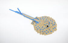 TMC Reefscape Model - Blue Spot Stingray