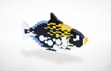 TMC Reefscape Model - Clown Triggerfish