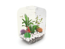 BiOrb Exclusive Life 15 Portrait Aquarium (White)