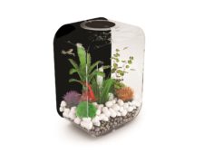 BiOrb Exclusive Life 15 Portrait Aquarium