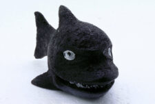 SuperFish Marine Fun - Black Shark