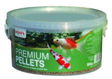 800g