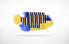 TMC Reefscape Model - Regal Angelfish