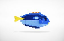TMC Reefscape Model - Regal Tang