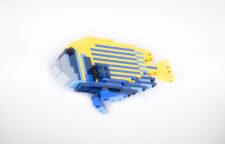 TMC Reefscape Model - Small Emperor Angelfish