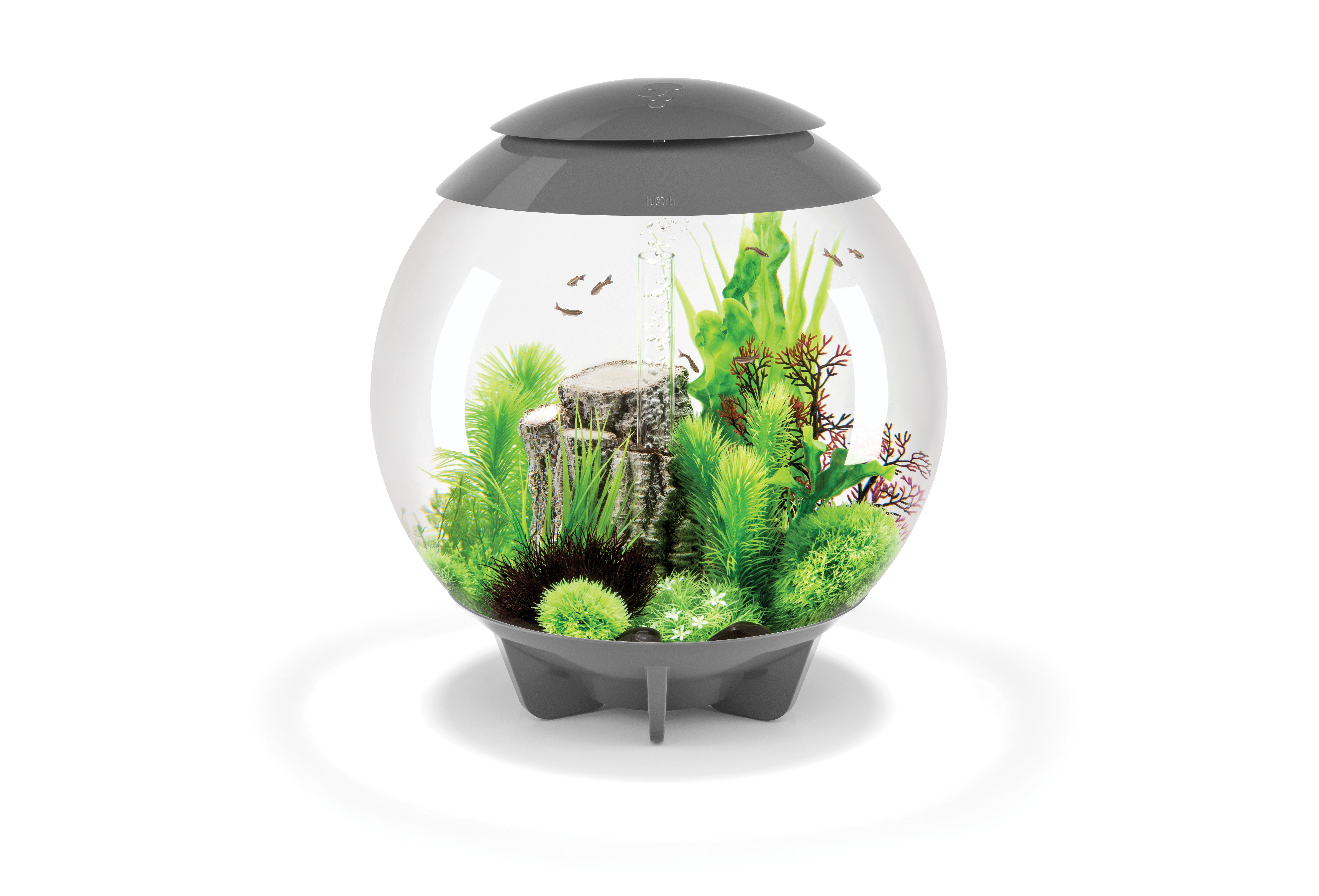 BiOrb Halo 60 MCR Aquarium - Maidenhead Aquatics