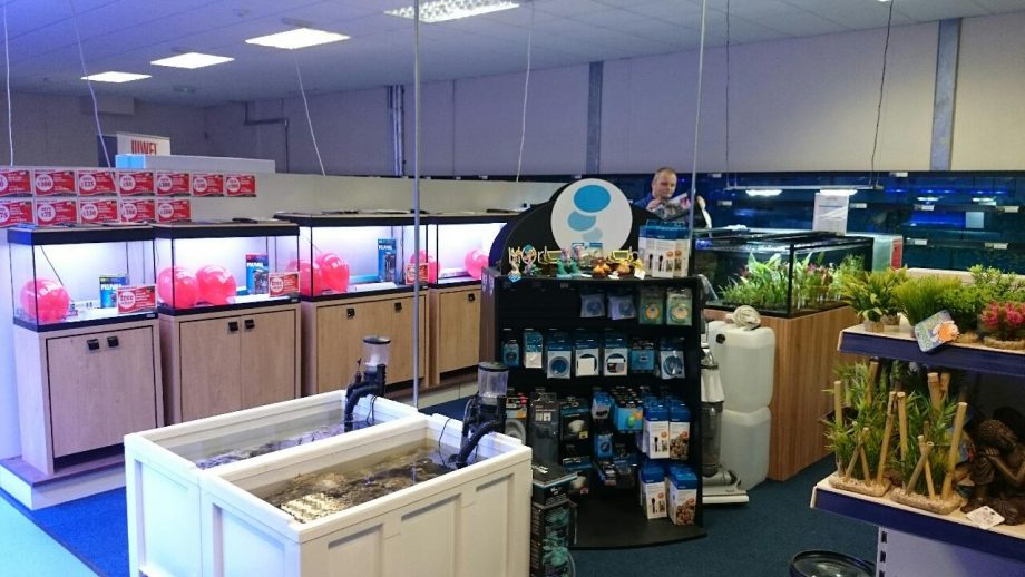 Kidderminster Maidenhead Aquatics