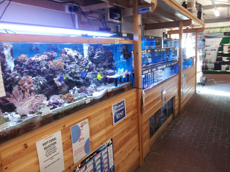 Crawley Maidenhead Aquatics