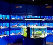 Fishkeeper Braehead