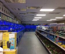 Gosport