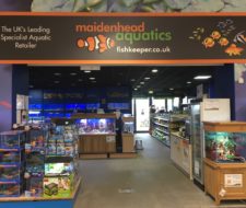 Peterborough Dobbies