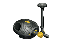 Pumps & Accessories