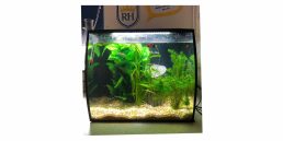 Aquarium Products