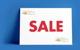 Clearance Products