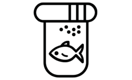 Hikari Foods