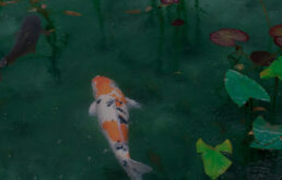 Pond Products