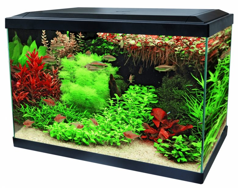 Aqua Expert 70