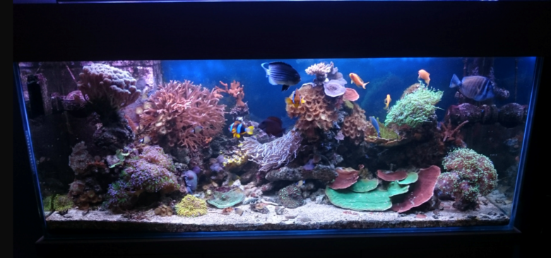 Feb 2018