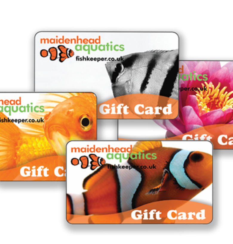 Gift Cards
