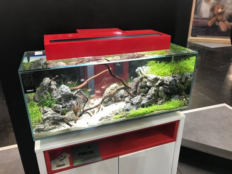Interzoo 3