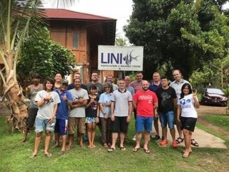 Lini 2