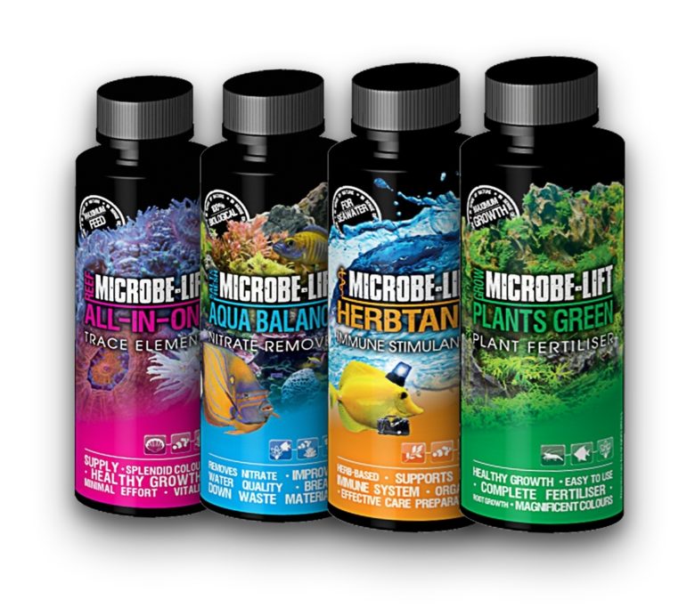 Microbe Bottles