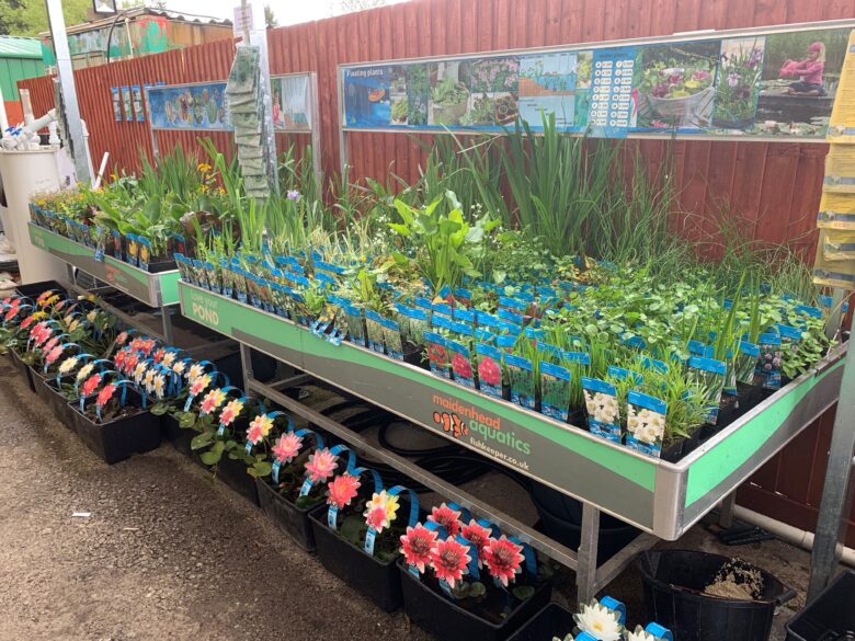 Plants Cwmbran