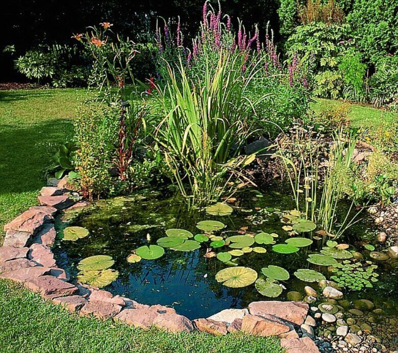 Summer Garden Pond