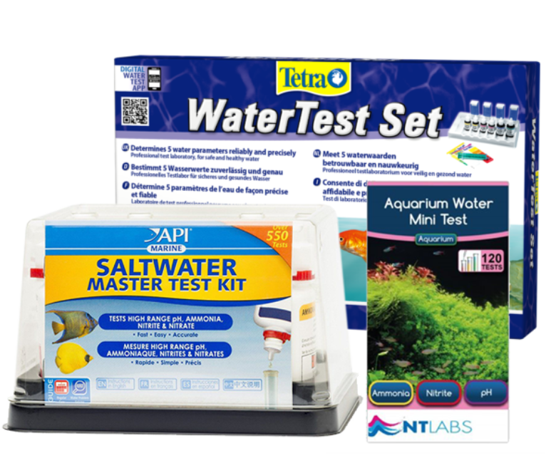 Test Group