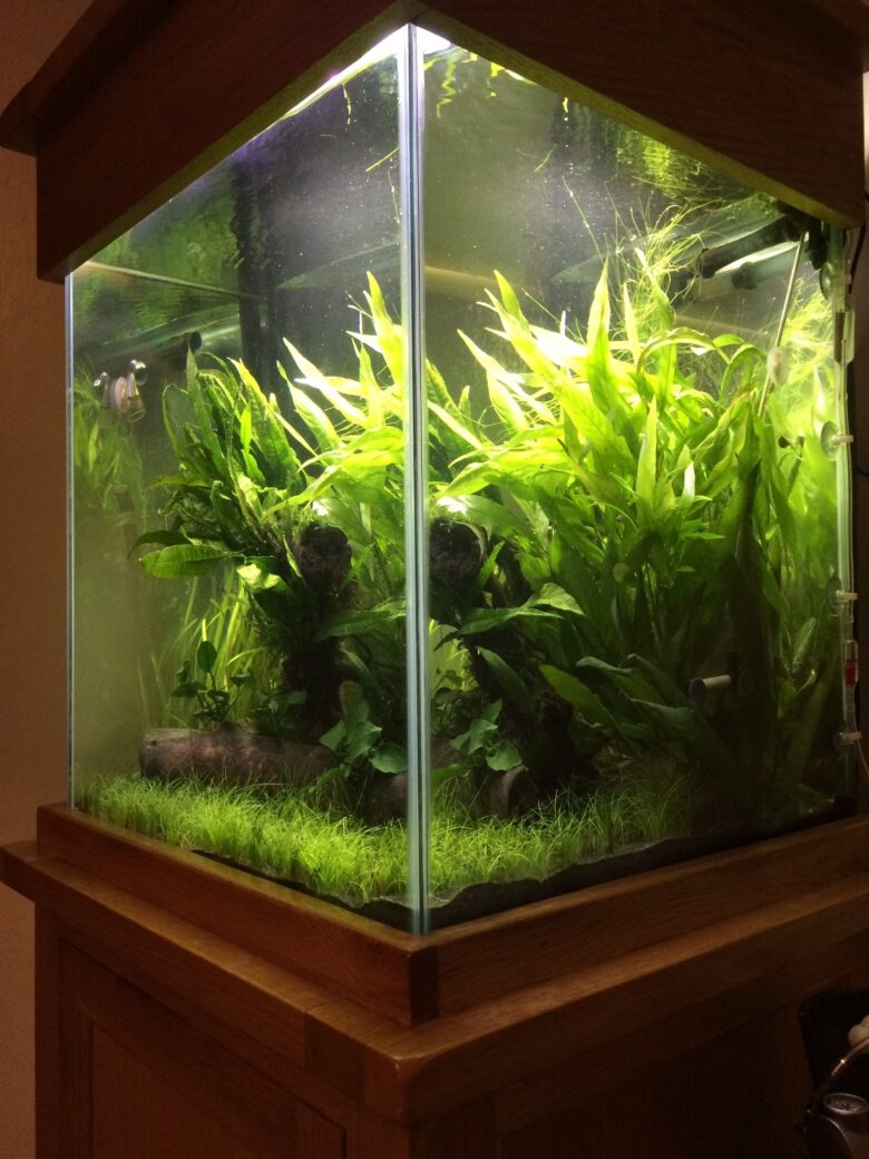 August Gallery