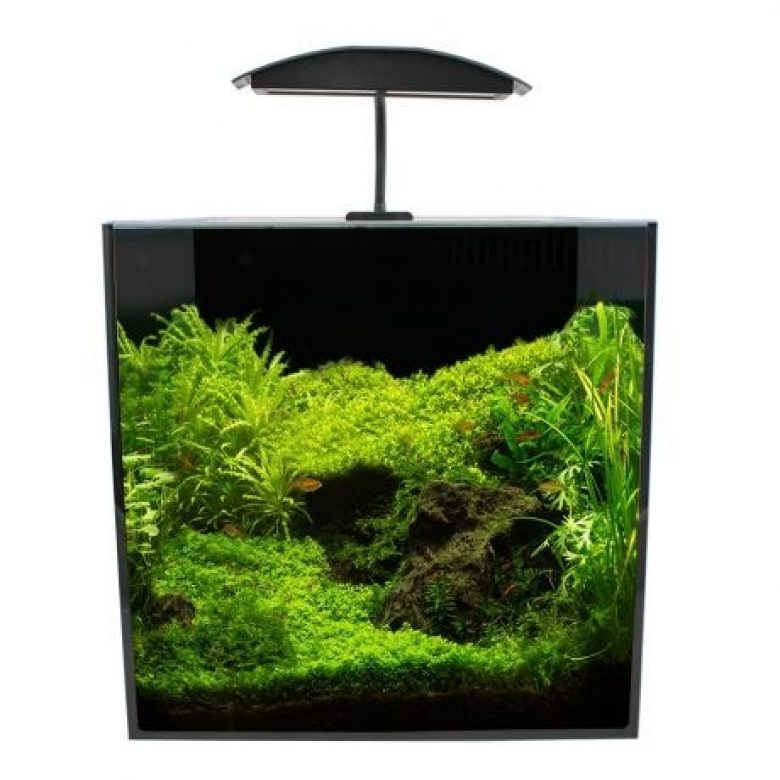 Nano 35 Aquamanta