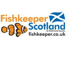 Fishkeeper Dunfermline
