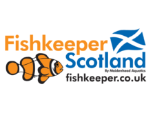 Fishkeeper Dundee