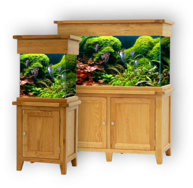 Maidenhead Aquatics The UK's Leading Aquatics Retailer