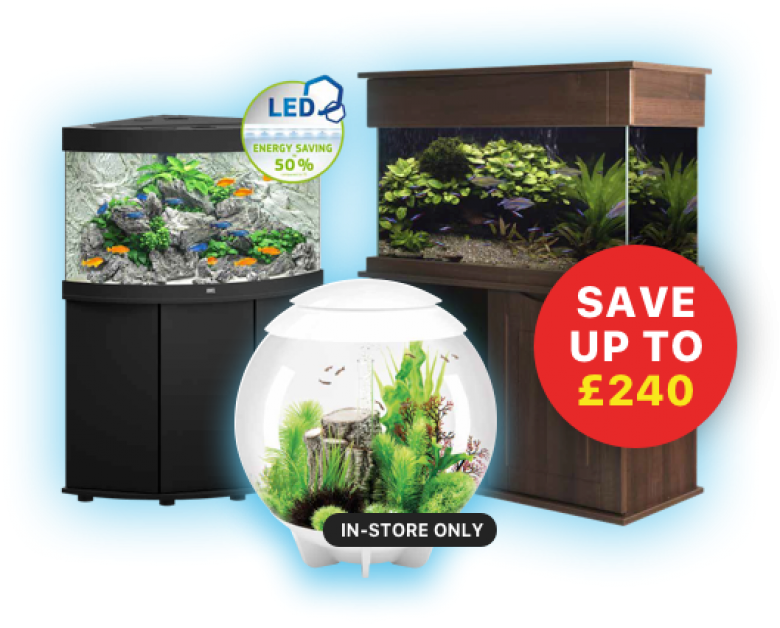 Maidenhead Aquatics The UK's Leading Aquatics Retailer