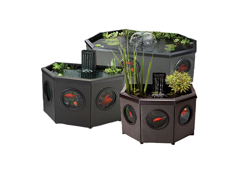 Maidenhead Aquatics The UK's Leading Aquatics Retailer