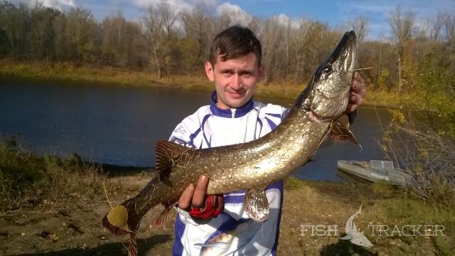 саратовские сайты о рыбалке саратовские сайты о рыбалке