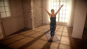 Steffis Power Yoga - Perfect Body