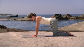 Hatha Yoga mit Ralf Bauer - Rückenyoga