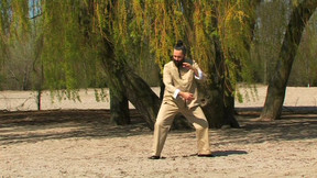 Vollendete Tai Chi Form