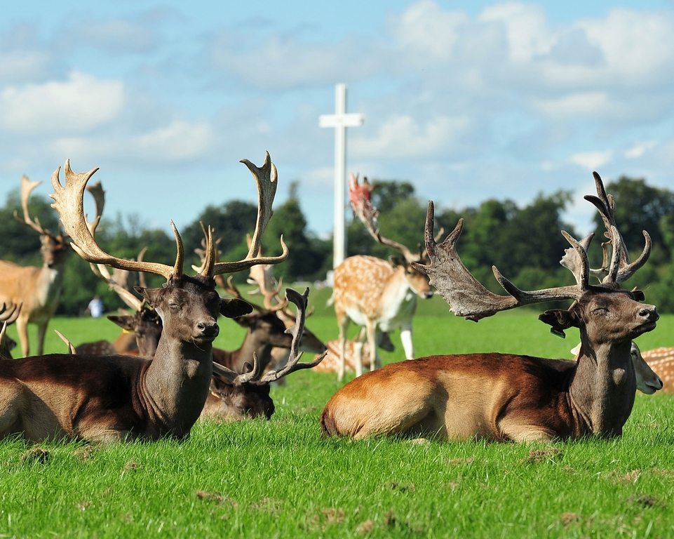 Phoenix Park