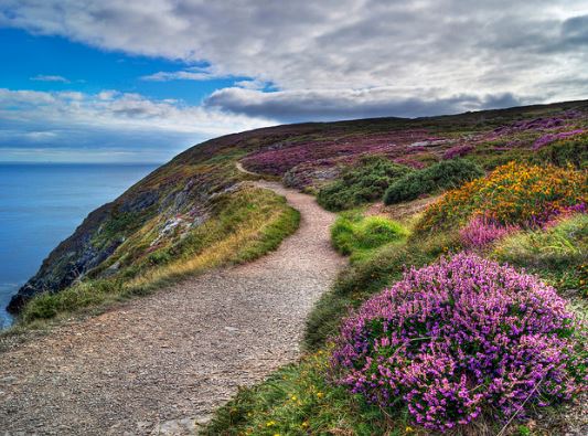Dublin Walks and Hikes