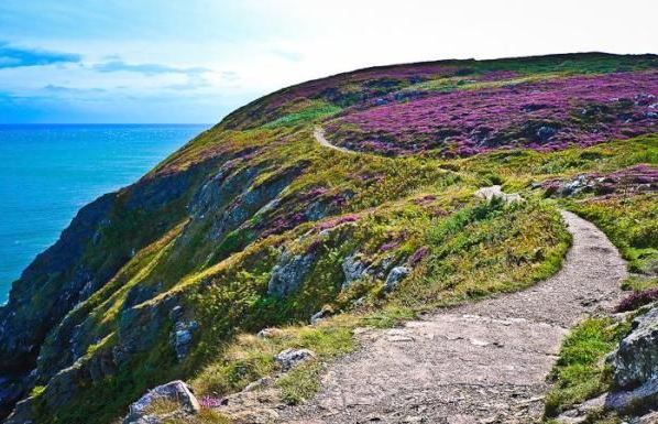 Howth Cliff Walk