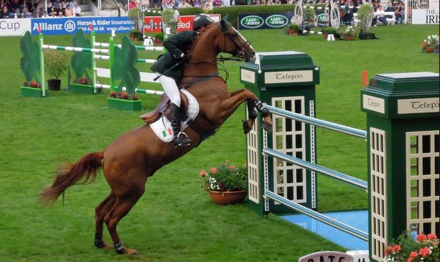 Dublin Horse Show