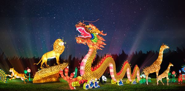 Wild Lights at Dublin Zoo