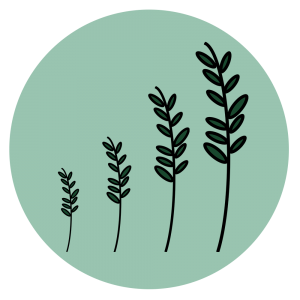 Grow